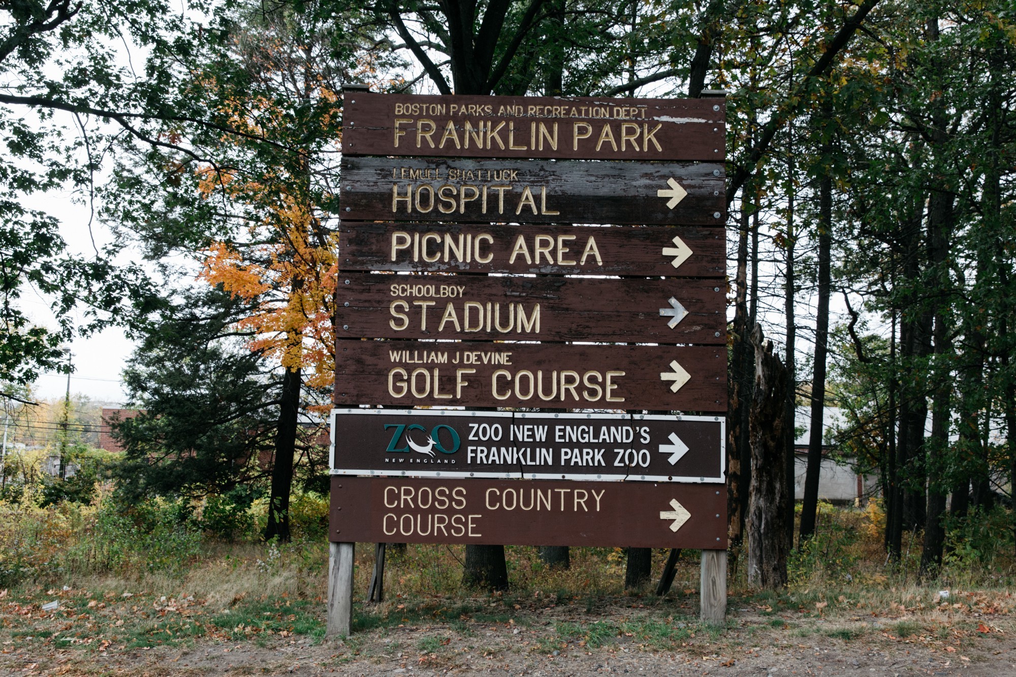 1 Iea Xndj Cl N8 O0Af Wkpx08W