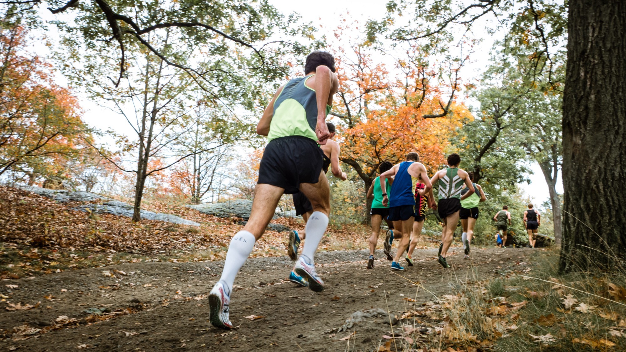 1 I G9Lq4X Dxr Ybsng Dxmnshg