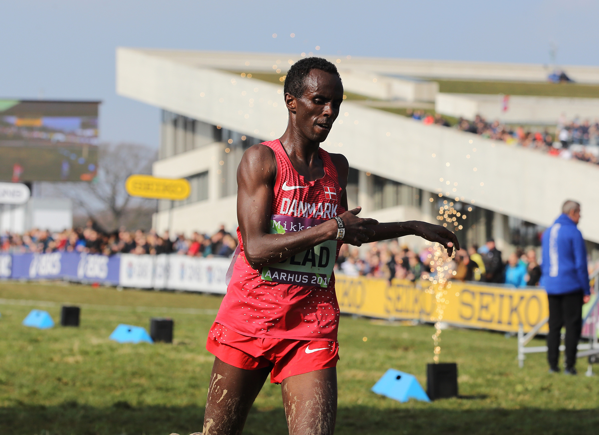 Ef0C8982 32560468807 O