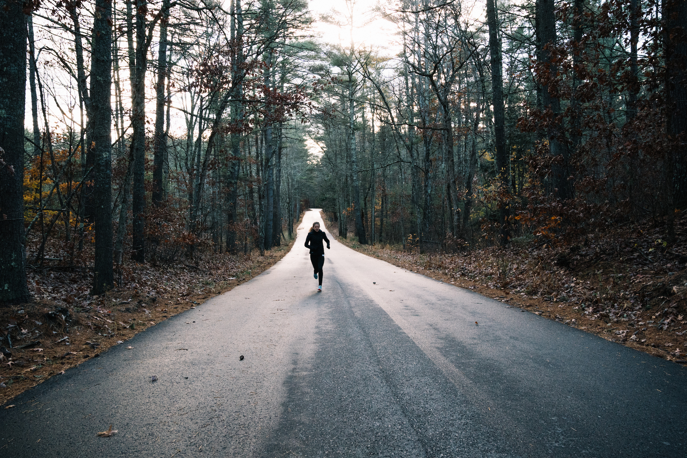 Tracksmith Ndo17 2028