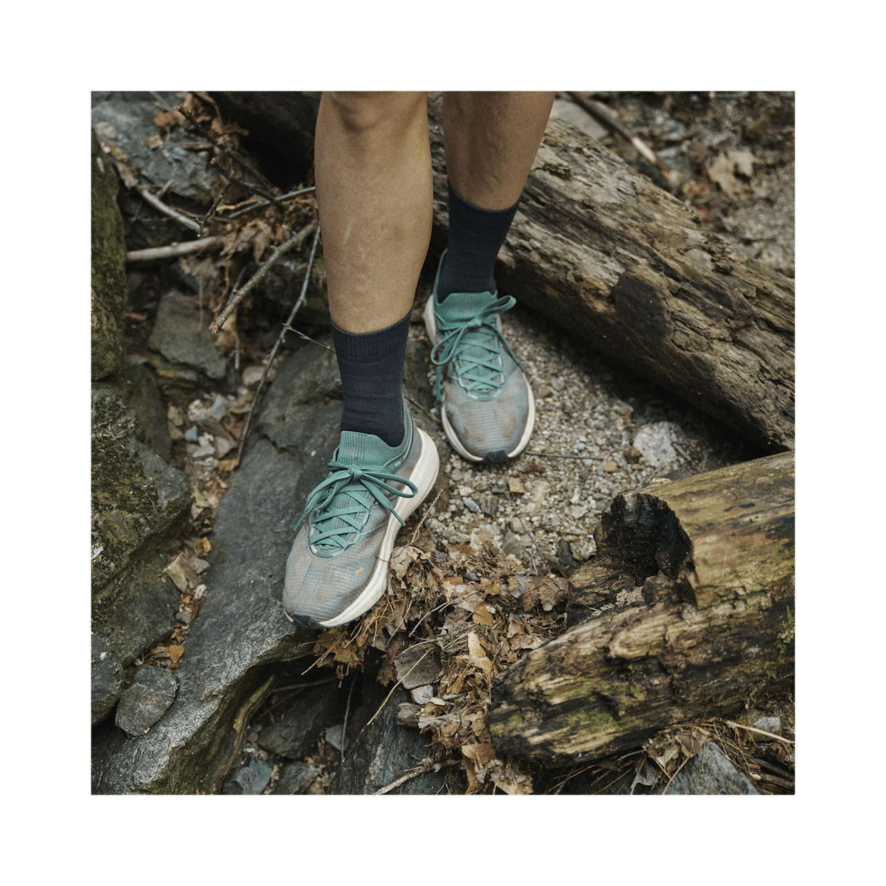 Tracksmith Eliot Range