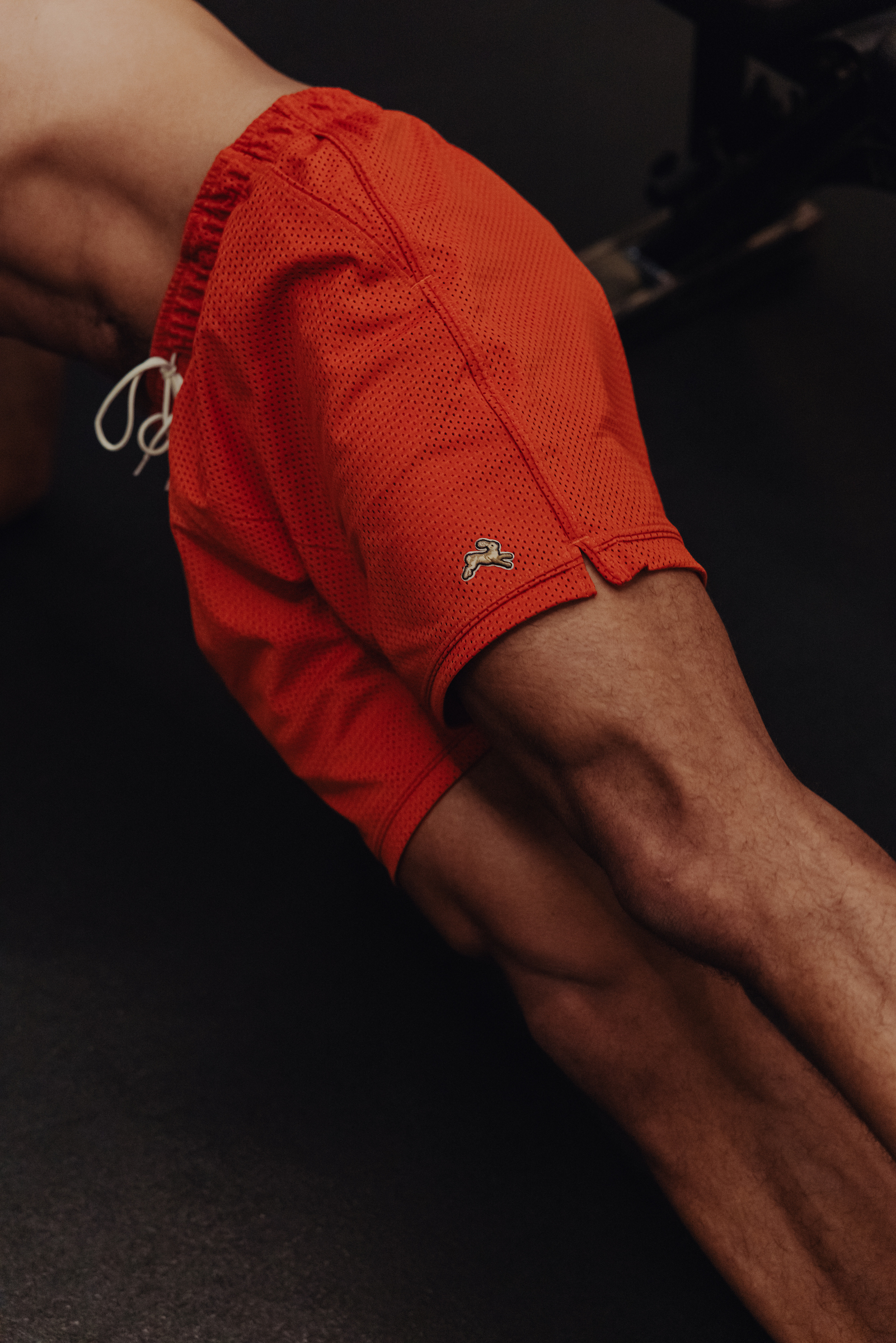 Fieldhouse Mesh Shorts