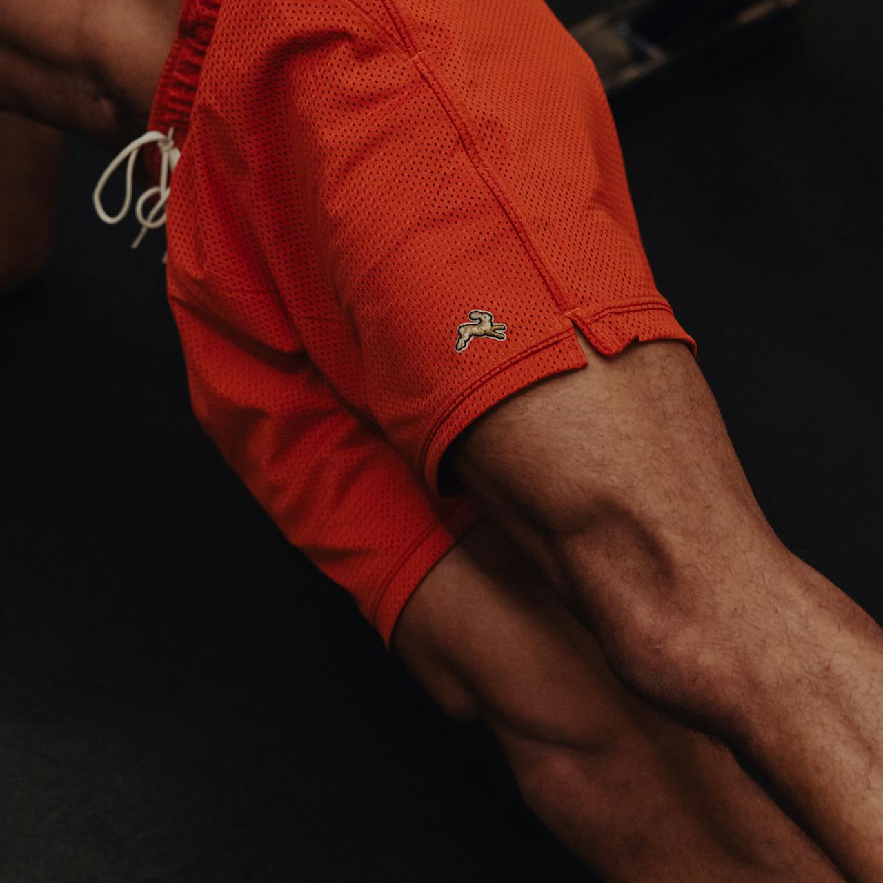 Fieldhouse Mesh Shorts