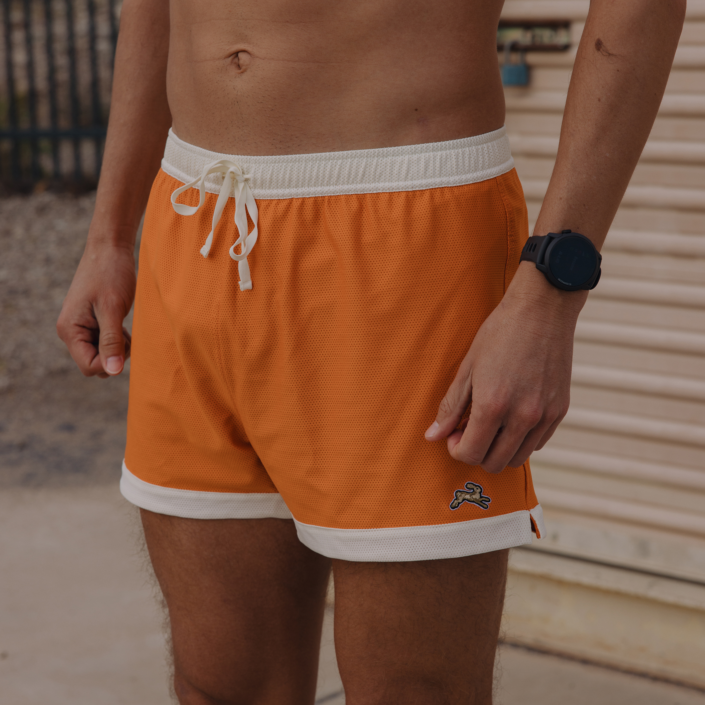 Van Cortlandt Grand Shorts