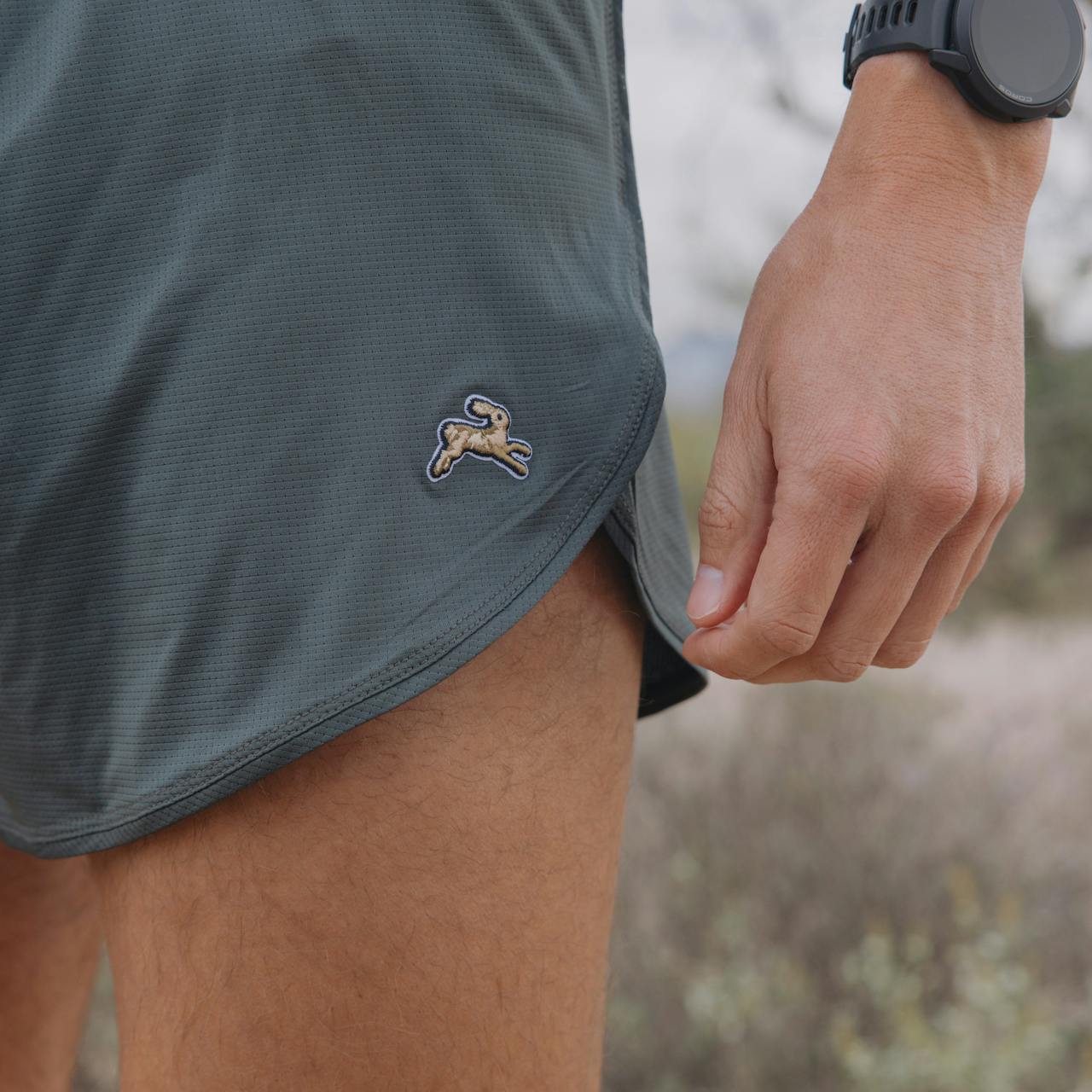 Twilight Split Shorts