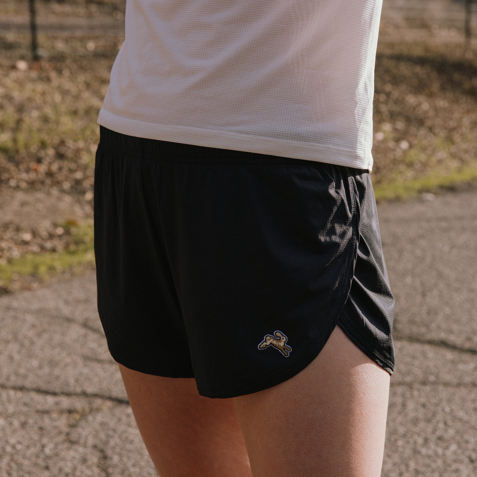 Twilight Split Shorts