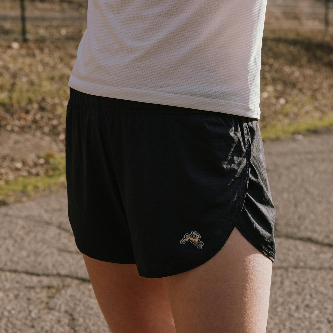 Twilight Split Shorts