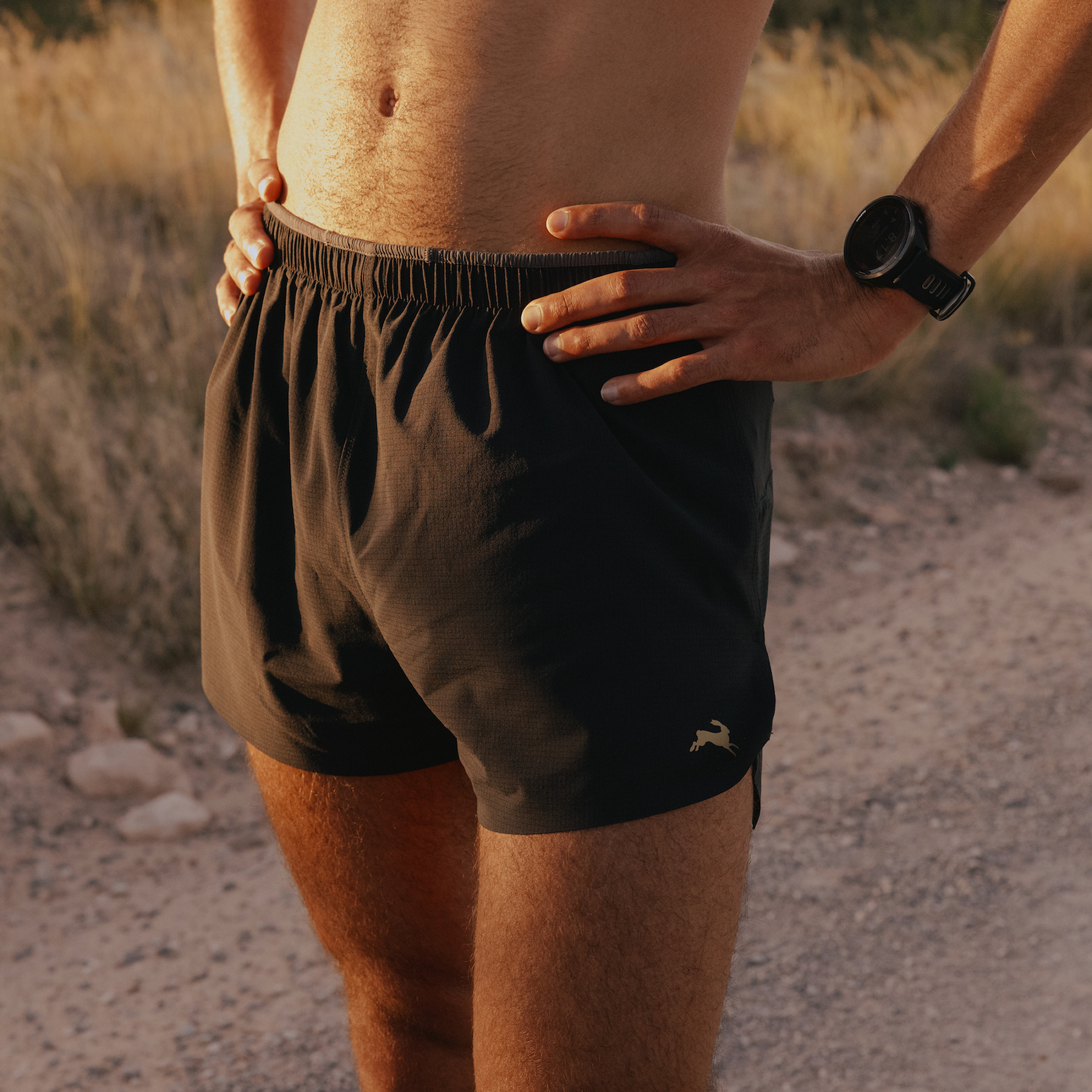 Meridian Shorts